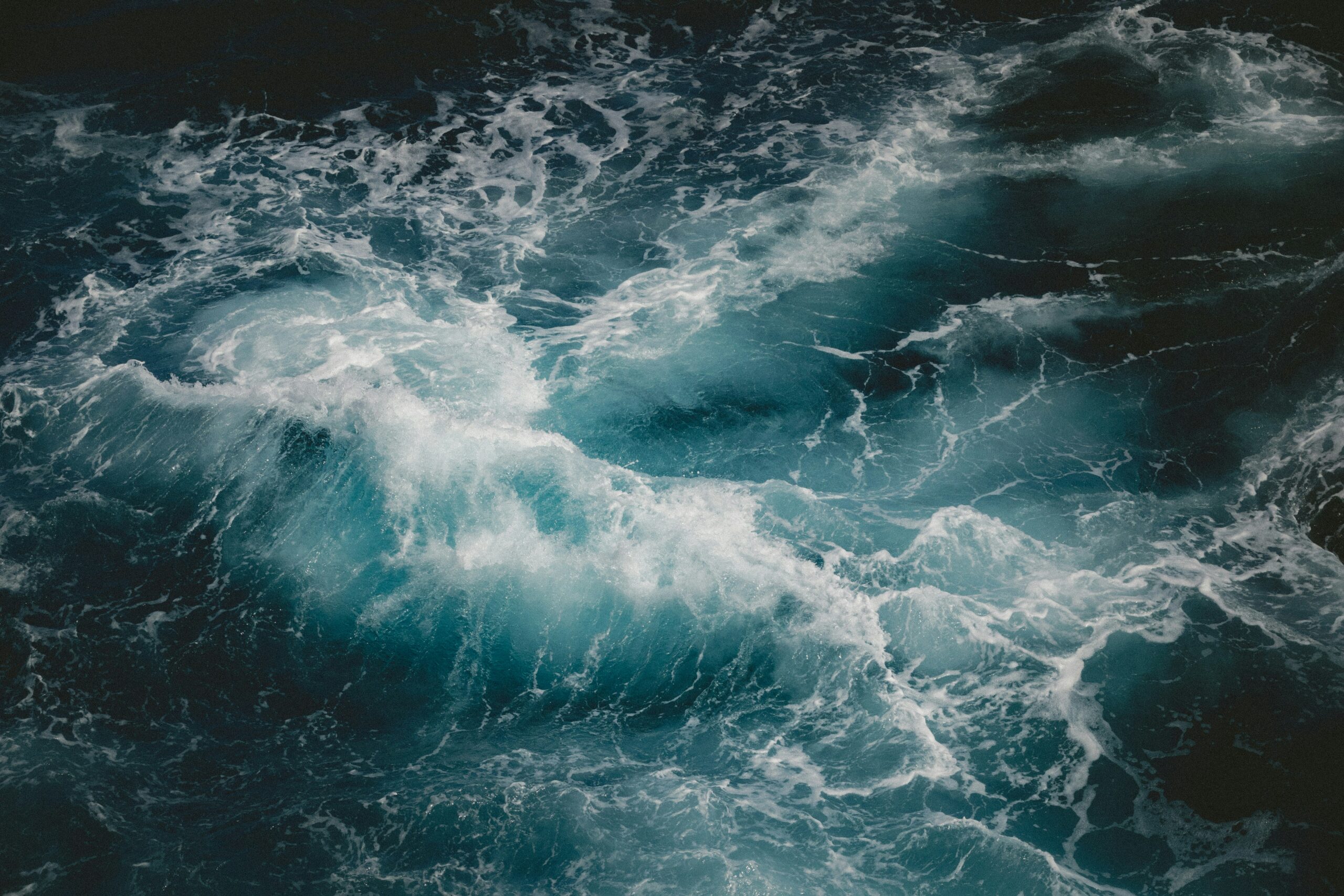 Ocean - Jakob Owens